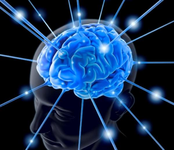 Neuromarketing Neuromarketing